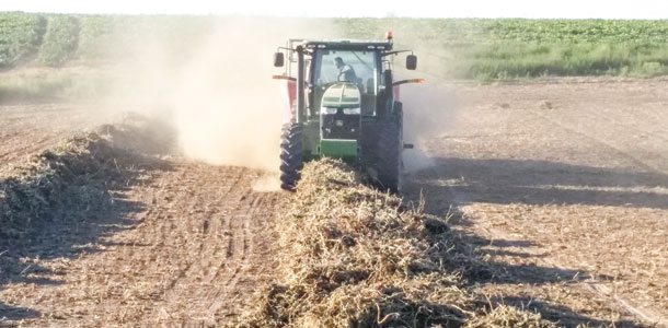 Baling soybean hay