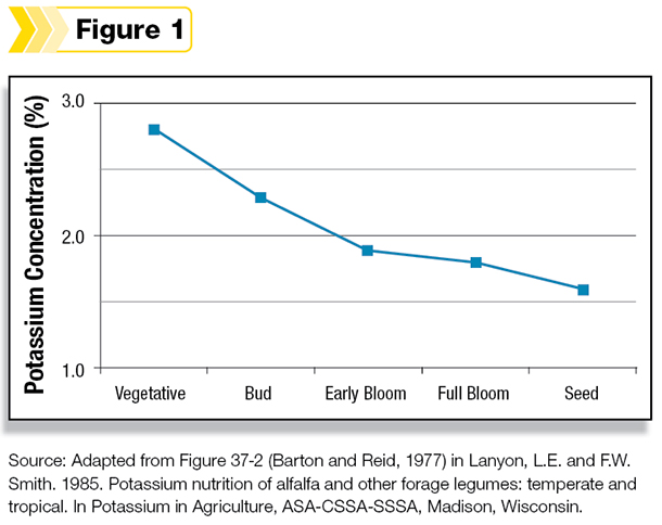 Potassium concentration figure
