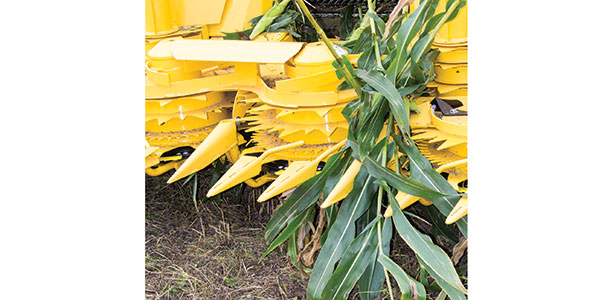 corn chopper