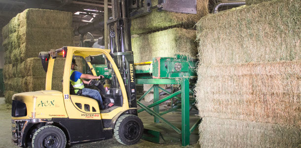exporting hay