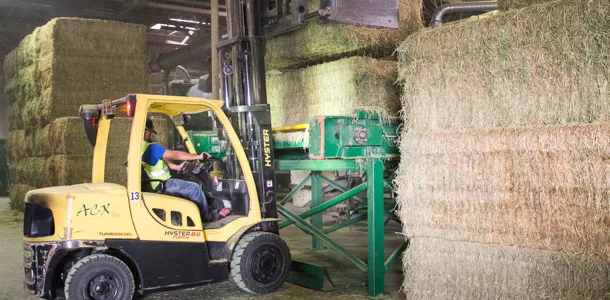 exporting hay