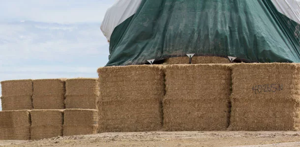 hay bale stack