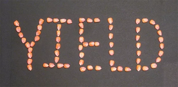 Yield