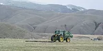 dragging the pasture