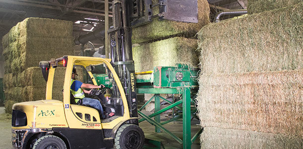 stacking hay for export