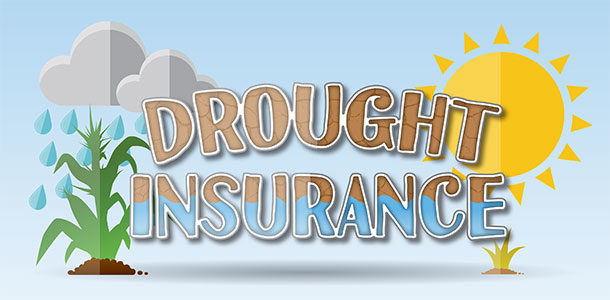 Drought Insurance