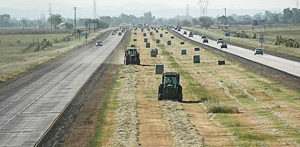 Square bales