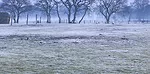 frosty morning