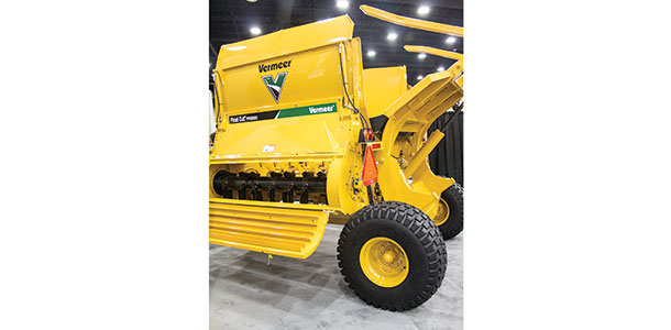 Vermeer Final Cut FPX 9000