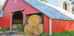 round bales stored in a barn
