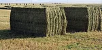 Big square bales