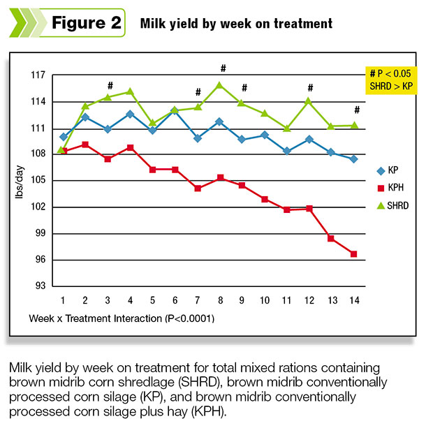 Milk yield by week on treatment