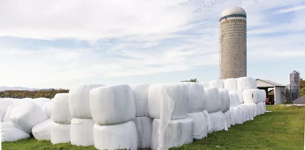 Wrapped bales