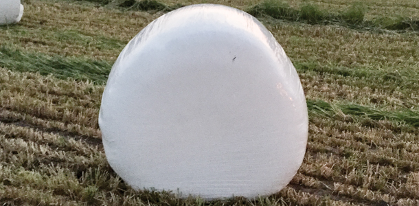 Wrapped hay bale