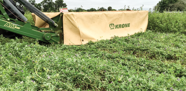 Wide swath of alfalfa