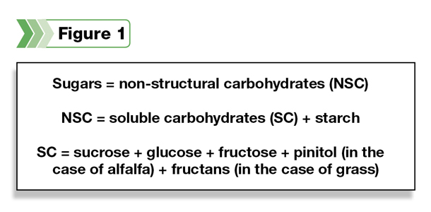 Sugars, NSC, SC