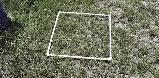 using pvc pipe to measure quality of standing forage