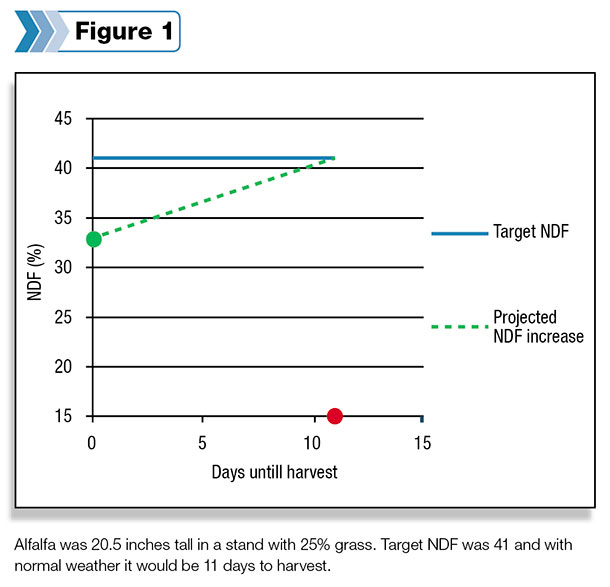 chart to harvest alfalfa