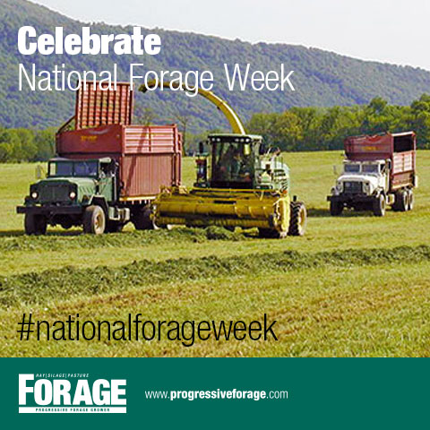 National Forage Week social media poster