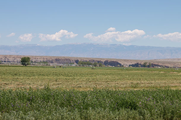 Wyoming hay field