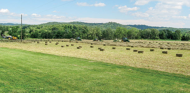 baling hay