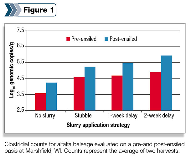 Clostridial counts for alfalfa baleage