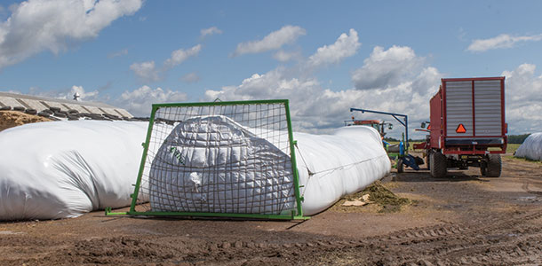 Forage has been placed in an airtight structure