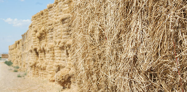 hay stored outside