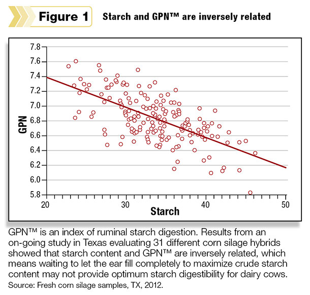 Starch and GPN