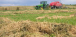 rain damaged hay