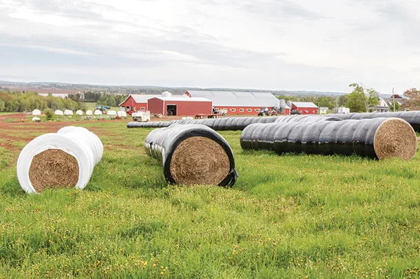 round bales in plastic