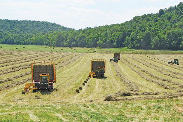 Haying season