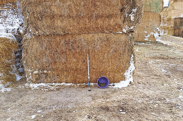 Hay in the stack