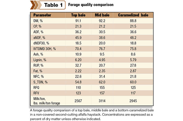 Forage quality comparisons