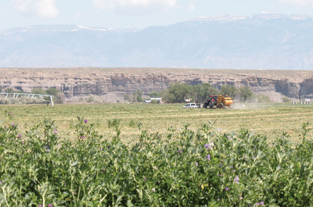 Russell family farm