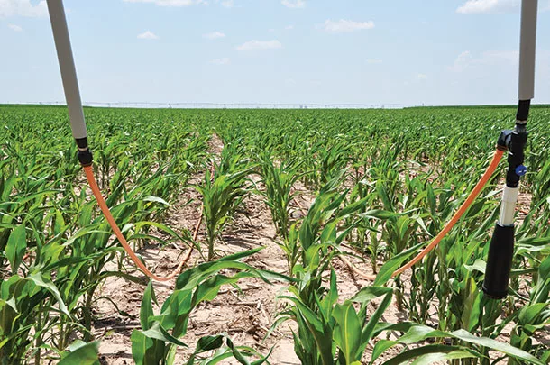 Precision mobile drip irrigation