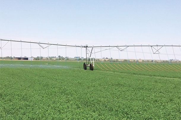 precision drip system