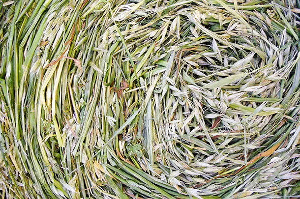 close-up bale