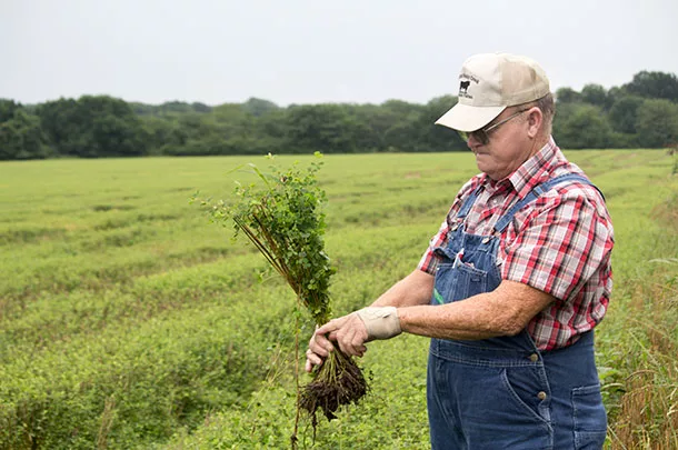 Carrier checks lespedeza
