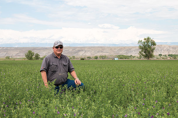 Kevin Lewis in the field
