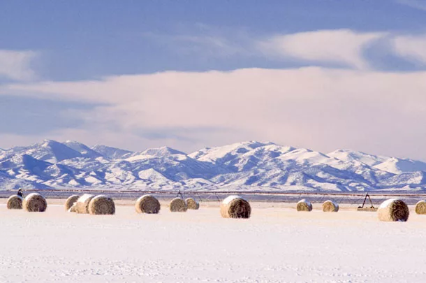 snowy farm
