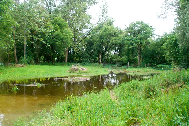 stream in pasture