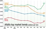 alfalfa market trends
