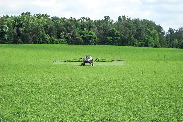 fertilizing