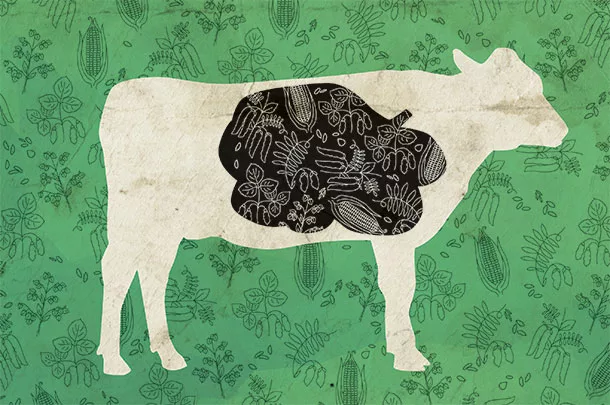 forage testing