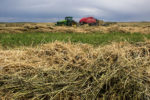 baling hay, approaching storm