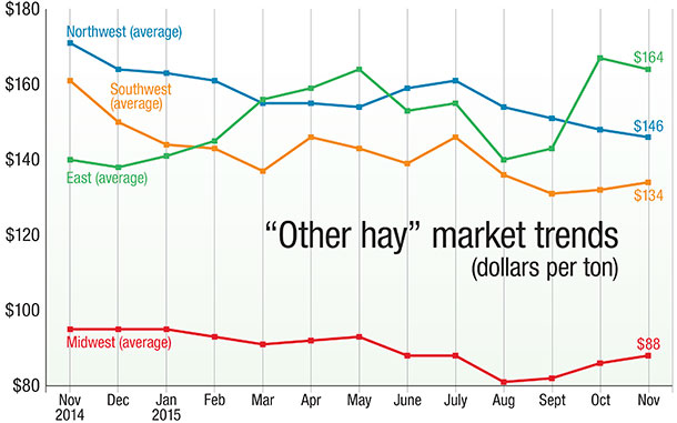 "other hay" market trends