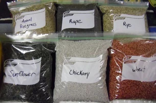 seeds in bags