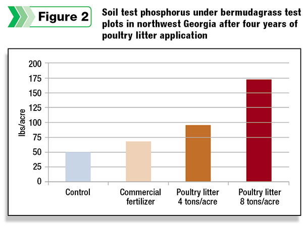 Soil test phosphorus under bermudagrass test plots Northwest Georgia