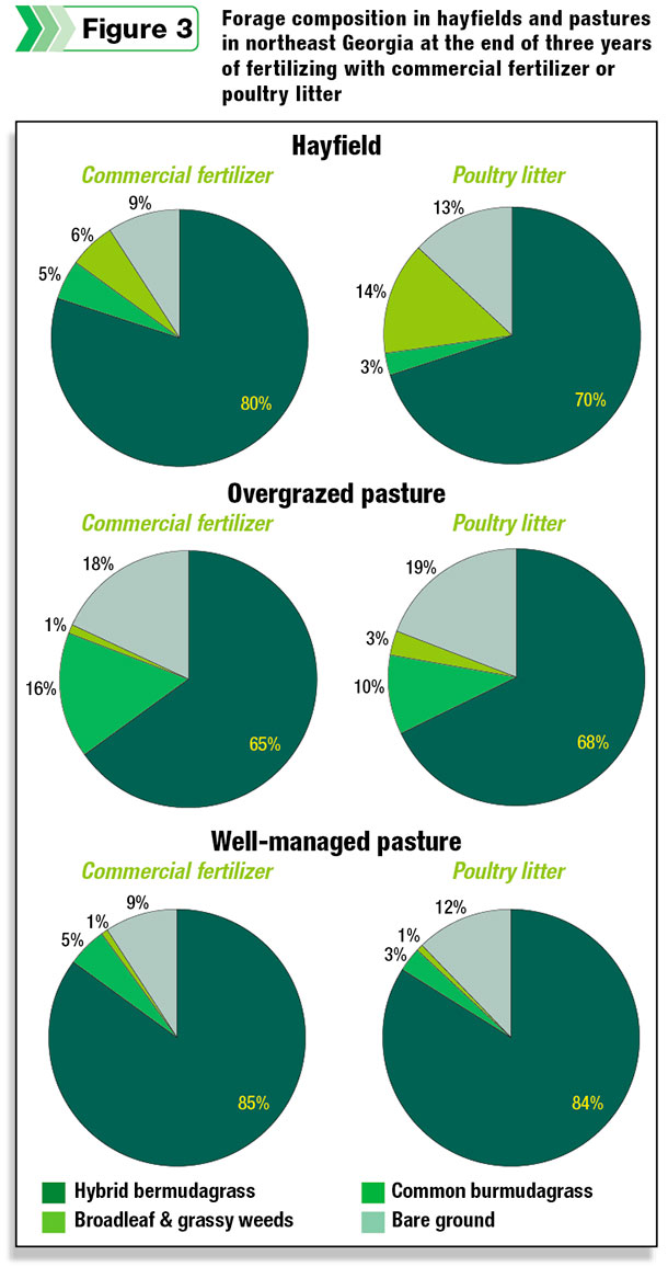Forage composition in hayfields and pastures in northeast Georgia